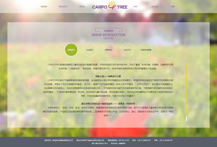卡波樹童裝 品質與創新并舉，助力外貿銷售新高度